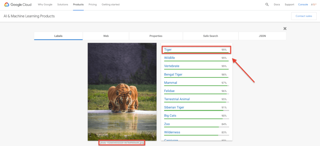 Cloud Vision API - Tiger
