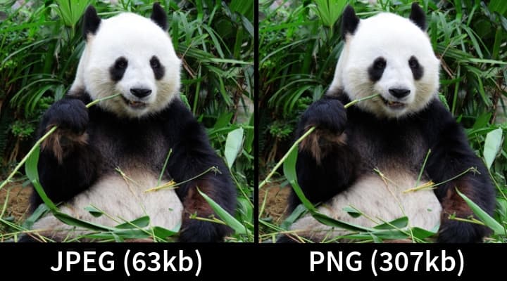 PNG v JPEG